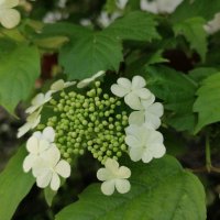 ,,, :: Сергей Тимоновский