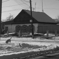 Деревня, в городе. :: Игорь Солдаткин