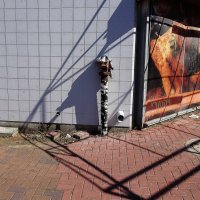 Limited Edition :: Helmut Levitt