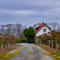 Весна в культурной глубинке :: Alexandеr P