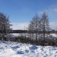 В окрестностях Калининграда :: Рита Симонова