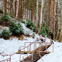 родник лестница природа     желающие воду :: Владимир 