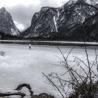 ** :: Александр Липовецкий