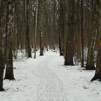 В парке :: Леонид leo В парке :: Леонид leo