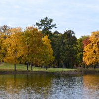 Осенние краски в Пролетарском парке Петергофа :: Надежда 