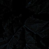 Название отсутствует :: Денис Безногов Название отсутствует :: Денис Безногов