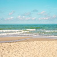 Куршская коса :: Анастасия Фотографовна Куршская коса :: Анастасия Фотографовна