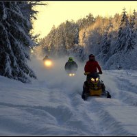 Зимние гонки... :: Aleksandr Gal