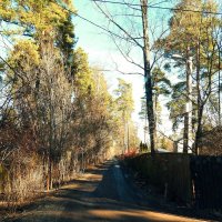 Весна :: Леонид leo Весна :: Леонид leo