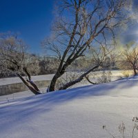 Дерево у Десны/Март :: Евгений 