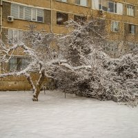 Зима :: Анатолий Чикчирный