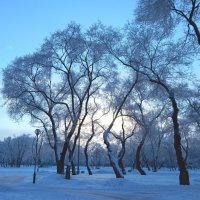Вечер в парке :: Сергей Швечков