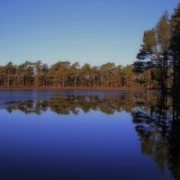 Прохладный тихий март.. :: Татьян@ Ивановна