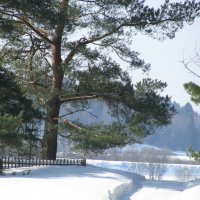 Мартовские снега 2010 года :: Олег Зоркий