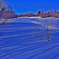 Февраль...Лыжня и ручей! :: Владимир 