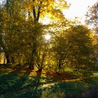 Осенний пейзаж :: Олег Зоркий