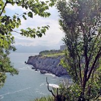 природа :: марта Камушкина