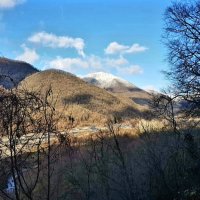 СОЛОХ-АУЛ СОЧИ :: Tata Wolf