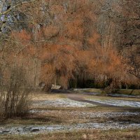 kADRIORG :: Аркадий  Баранов Arkadi Baranov