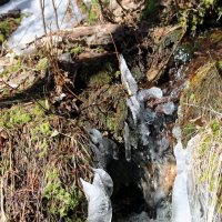 И тает лёд... :: Ольга И тает лёд... :: Ольга