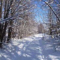 Окрестности Калининграда :: Рита Симонова Окрестности Калининграда :: Рита Симонова