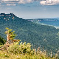 Леса в Адыгее :: Игорь Сикорский Леса в Адыгее :: Игорь Сикорский