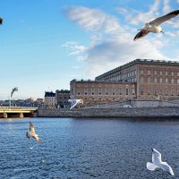 Это рай для всего живого :: Alexandеr P