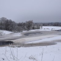 Черно - белый февраль. :: Татьяна Глинская