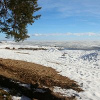 Зеленогорск. Март :: Наталья Герасимова