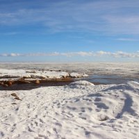 Зеленогорск. Март :: Наталья Герасимова