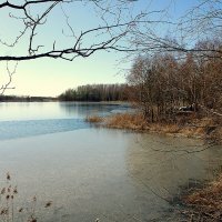 Как прекрасен этот мир... :: Aleksandr Gal