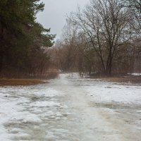 Ранняя весна :: Александр Синдерёв