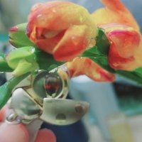 110 (55) :: СТРЕН 