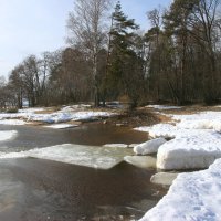 Зеленогорск. Март :: Наталья Герасимова