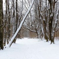 Город после ночного снегопада. :: Милешкин Владимир Алексеевич 