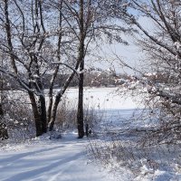 Зимушка-зима :: Рита Симонова