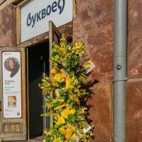 В Петербурге весна! :: Ирина Соловьёва