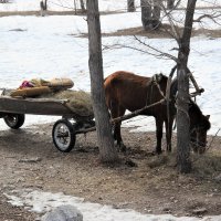 Весна за городом. :: Венера Чуйкова