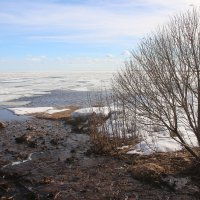 Зеленогорск. Март :: Наталья Герасимова Зеленогорск. Март :: Наталья Герасимова