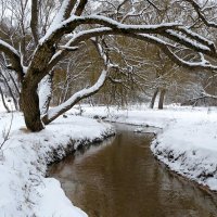 Городской парк после весеннего снегопада. :: Милешкин Владимир Алексеевич 