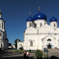 Надвратная Успенская церковь-колокольня и Собор Боголюбской иконы Божией Матери :: Александр Ильчевский 