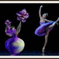 Букет и  балет   (из серии Подражание) :: Е.М. ***