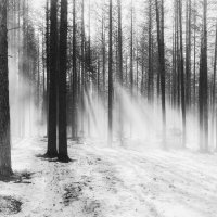 свет :: александр 