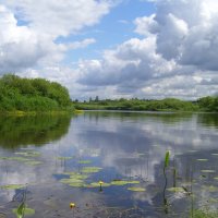 Река Сороть, июнь :: Олег Зоркий