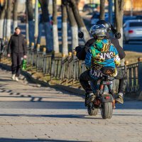 Начались покатушки по тротуарам. :: Анатолий. Chesnavik.