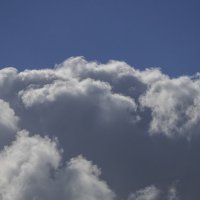 Тест нового поляризационного фильтра. :: Alexander Amromin