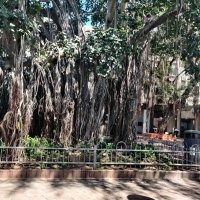 Возле дома. :: Светлана Хращевская Возле дома. :: Светлана Хращевская