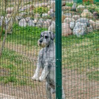 Про друзей :: Владимир Колесников