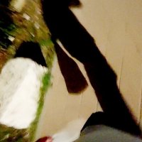 12  КЛОС (837) :: CLOSE WAYS ALL