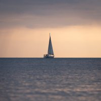 Первые теплые деньки на юге :: daimos 